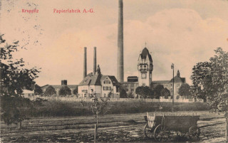 Abbildung von Artikel Nr. P 13432