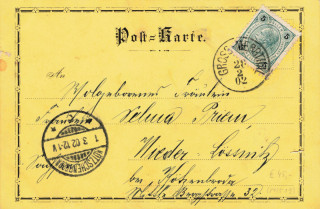 image of the back side of article no. P 13519