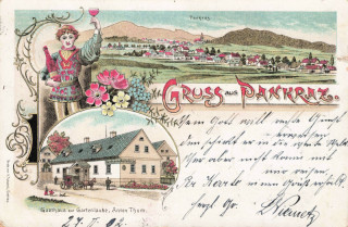 image of article no. P 13519