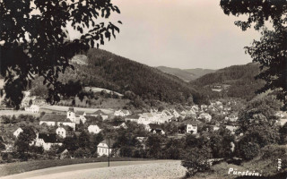 Abbildung von Artikel Nr. P 13534