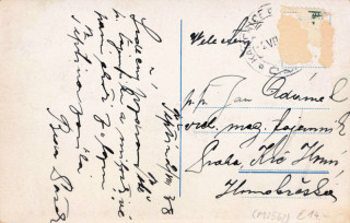 image of the back side of article no. P 13562