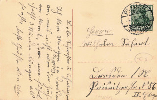 image of the back side of article no. P 13618