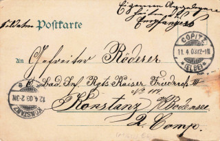 image of the back side of article no. P 13653