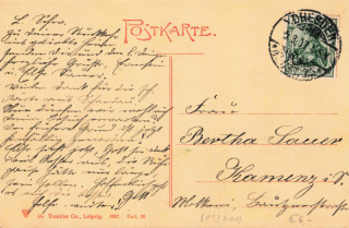 image of the back side of article no. P 13711