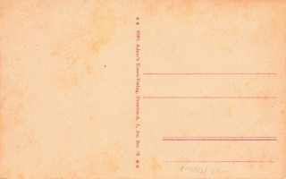 image of the back side of article no. P 13763