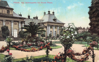 image of article no. P 13764