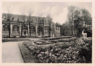 image of article no. P 13797