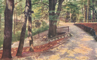 Abbildung von Artikel Nr. P 13804