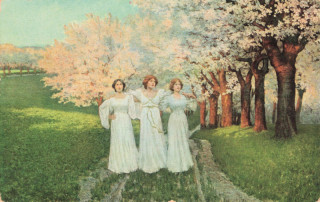 image of article no. P 13806