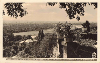 image of article no. P 13810