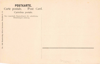 image of the back side of article no. P 13813