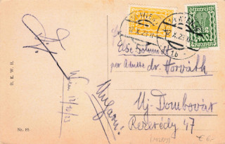 image of the back side of article no. P 13889