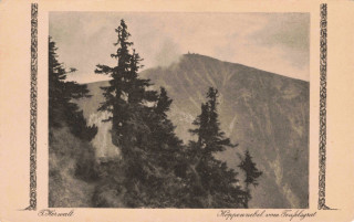 image of article no. P 13904
