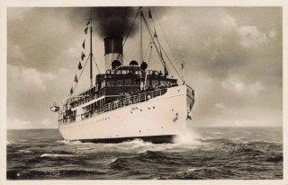 image of article no. P 13986