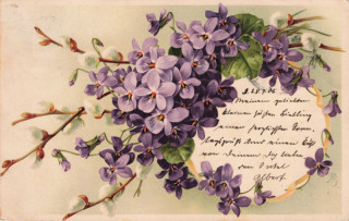 image of article no. P 14012