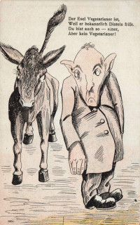 image of article no. P 14020