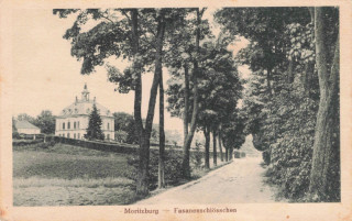 Abbildung von Artikel Nr. P 14086