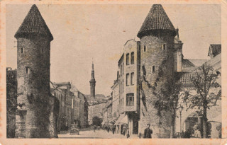 Abbildung von Artikel Nr. P 14282