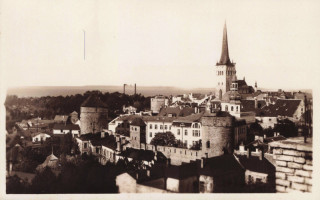 image of article no. P 14302