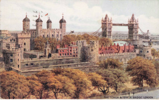 image of article no. P 162