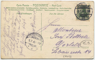 Abbildung der R&uuml;ckseite von Artikel Nr. P 2019