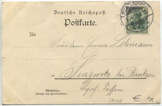 image of the back side of article no. P 2036