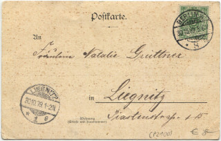 Abbildung der R&uuml;ckseite von Artikel Nr. P 2100