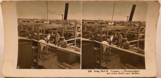 Abbildung von Artikel Nr. P 3001