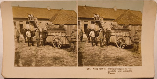 Abbildung von Artikel Nr. P 3007