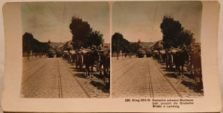 image of article no. P 3020