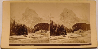 image of article no. P 3080