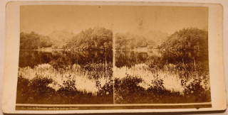 Abbildung von Artikel Nr. P 3084