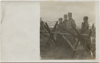 image of article no. P 4045