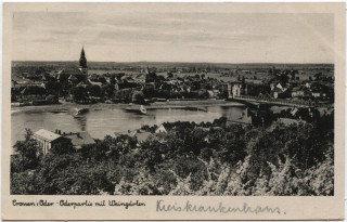 Abbildung von Artikel Nr. P 5004