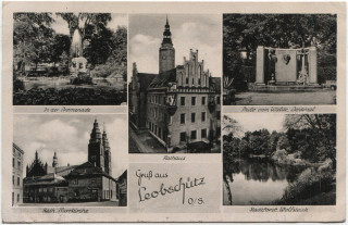 image of article no. P 5006