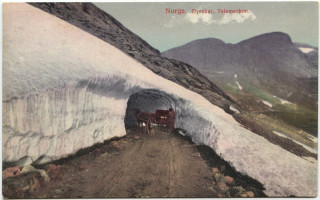 Abbildung von Artikel Nr. P 5024