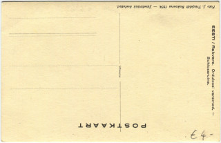 image of the back side of article no. P 5028