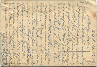 image of the back side of article no. P 5095