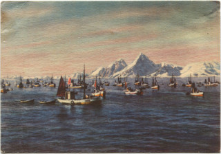 image of article no. P 5095