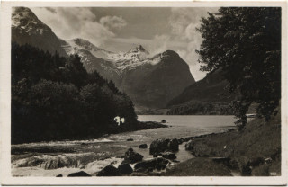 image of article no. P 5100