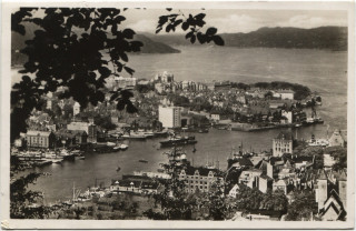 Abbildung von Artikel Nr. P 5144