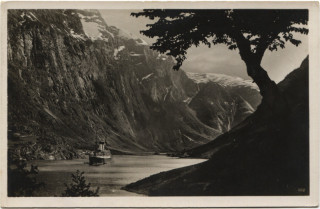 Abbildung von Artikel Nr. P 5160