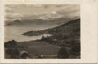 Abbildung von Artikel Nr. P 5163