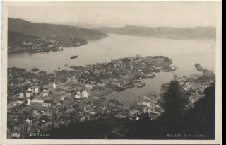 image of the back side of article no. P 5180