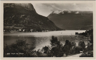 Abbildung von Artikel Nr. P 5195