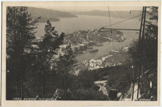 Abbildung von Artikel Nr. P 5199