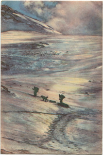 image of article no. P 5200