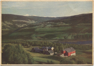 image of article no. P 5201