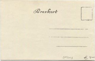 Abbildung der R&uuml;ckseite von Artikel Nr. P 5202