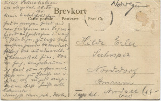 image of the back side of article no. P 5206